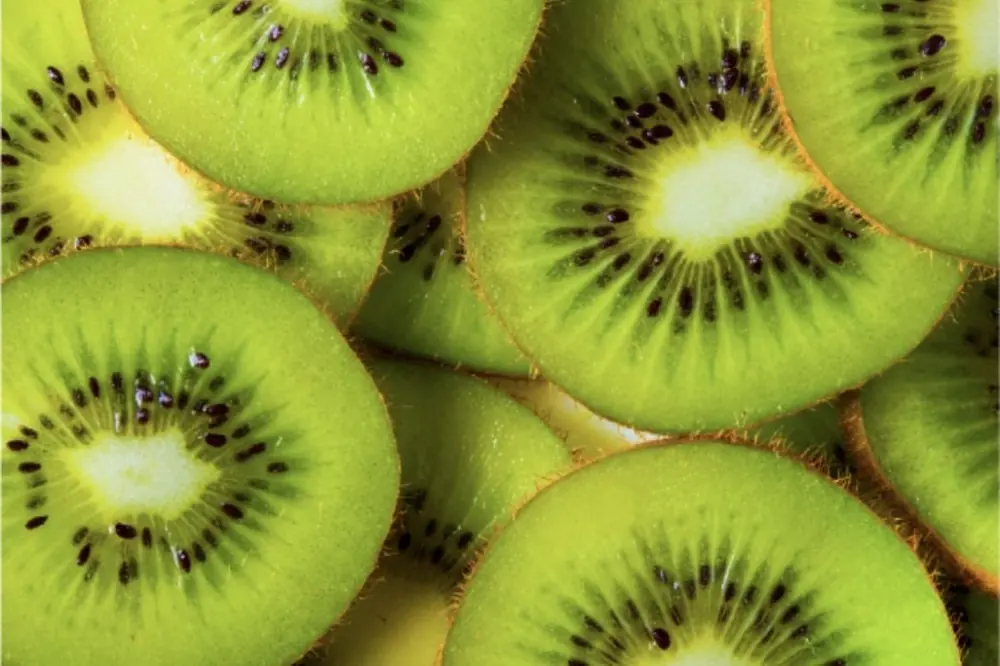 Rodajas de kiwi fresco