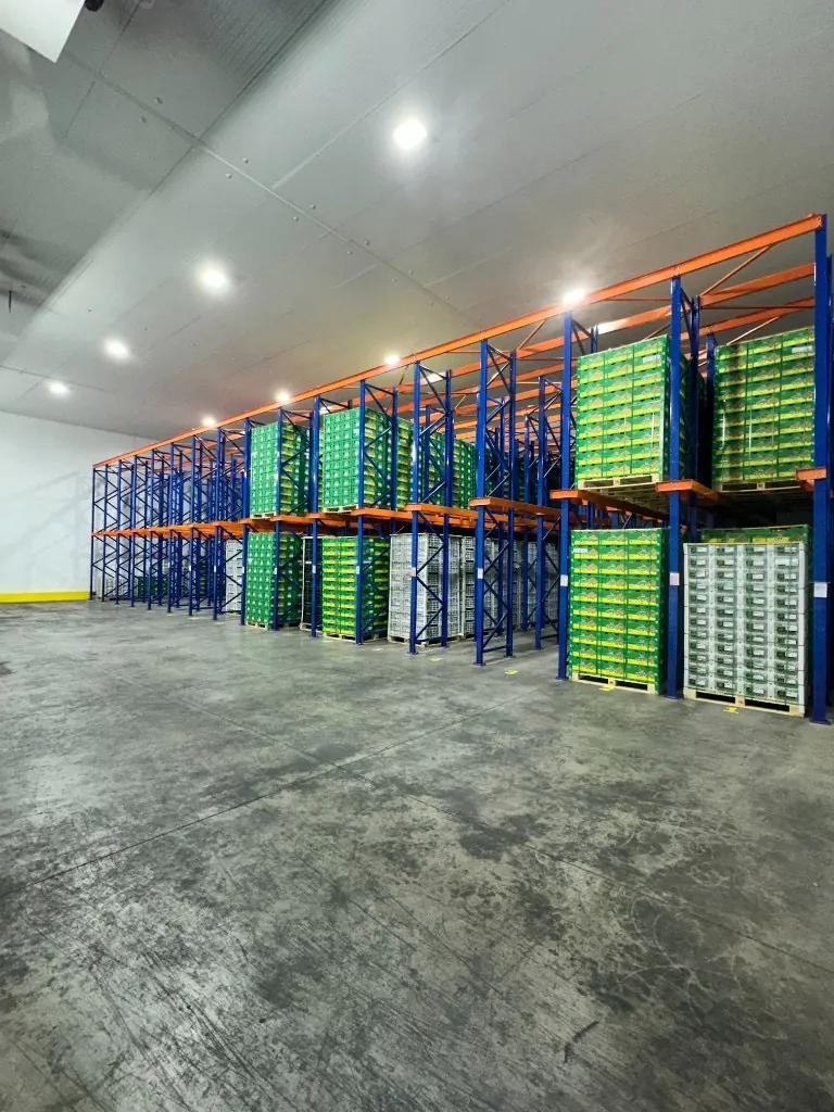 Exportación CCF