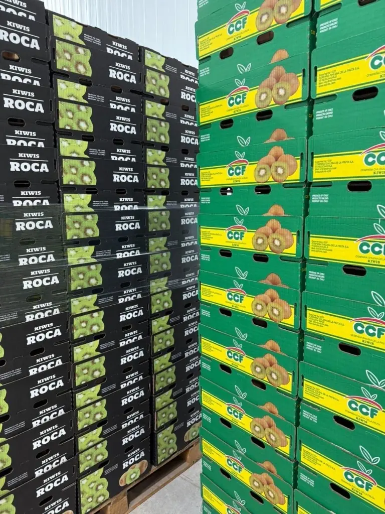 Cajas CCF listas para exportar