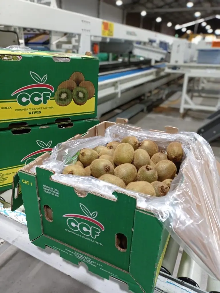 Caja CCF de kiwi Hayward