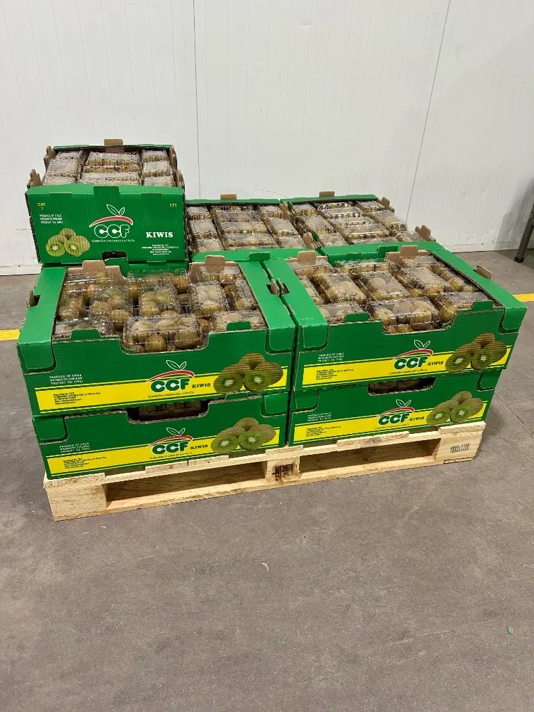 Pallet de kiwi CCF en clamshell